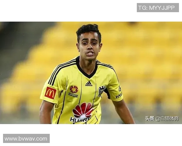 新西兰足球明星辛格的成长之路与辉煌成就解析